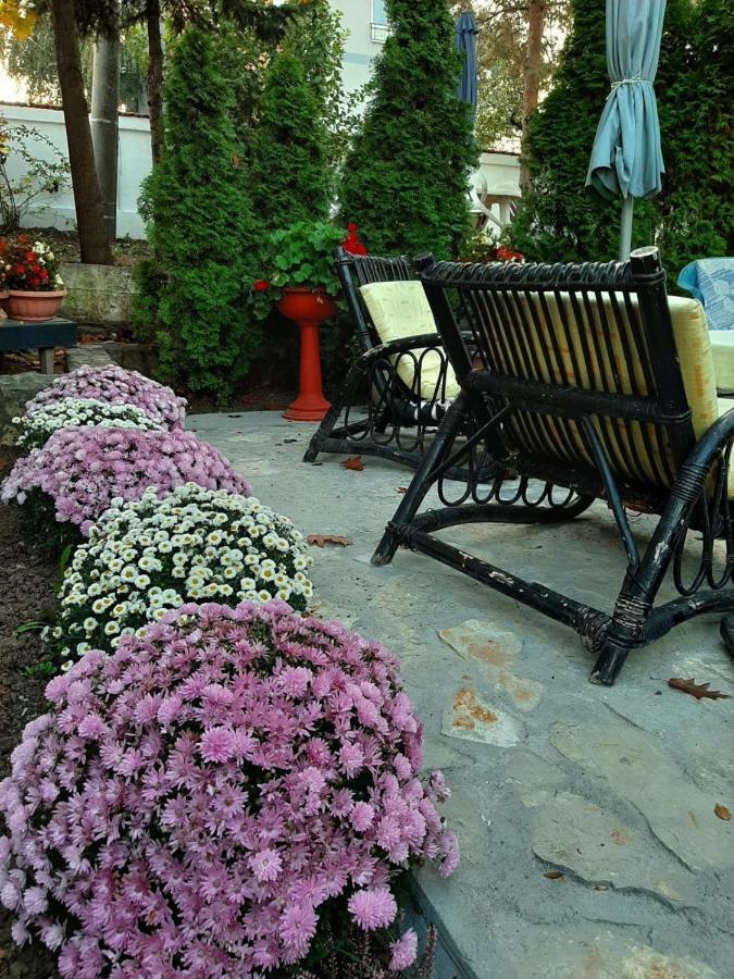 Apartment Queen Beograd Bagian luar foto